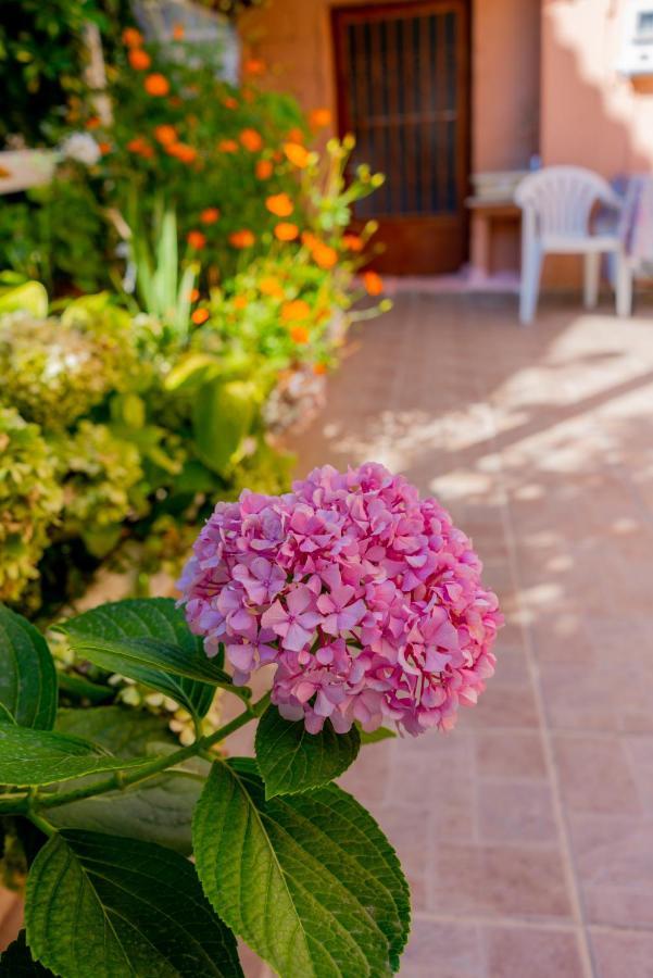 Valsamis Villa Apartments Poros  Exteriér fotografie